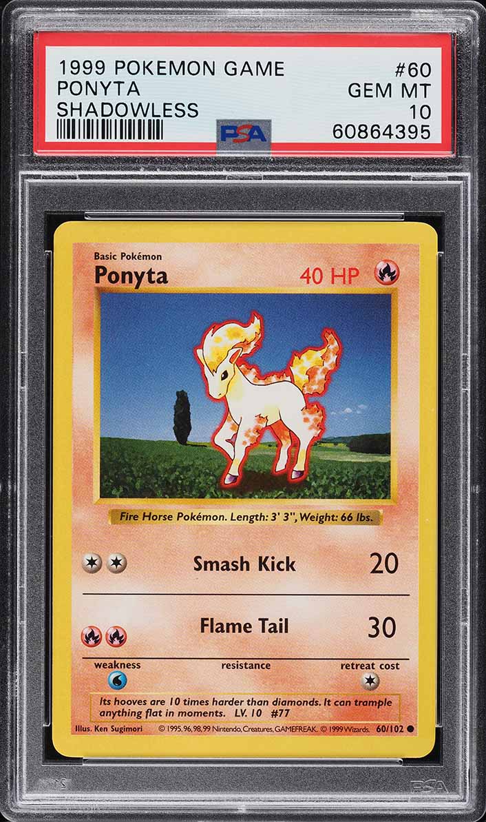Ponyta